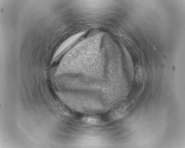 X0000088630655200706151918