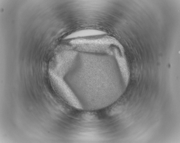 X0000088630656200706151918