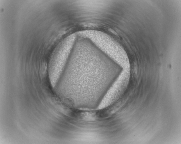 X0000088630660200706151918
