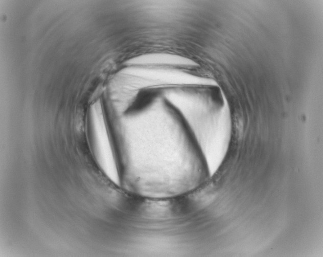 X0000088630665200706151918