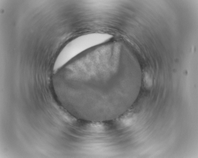 X0000088630668200706151919