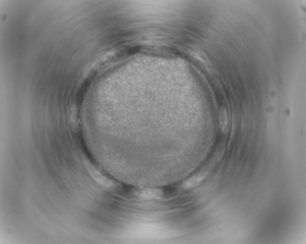 X0000088630670200706151919