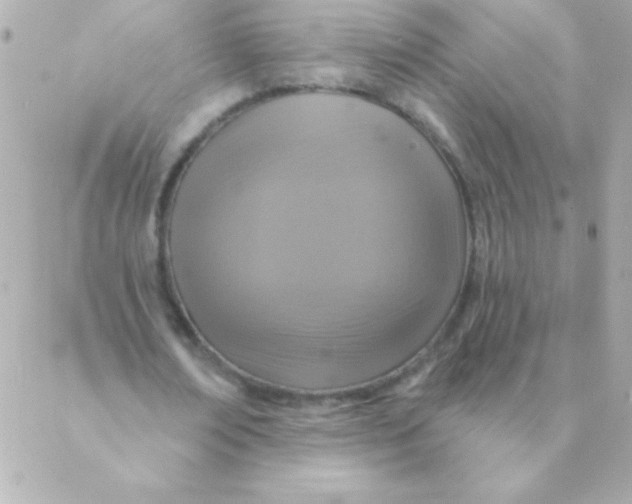 X0000088630674200706151918