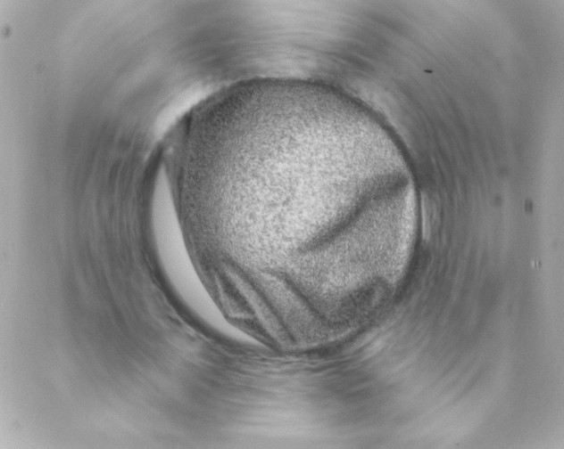 X0000088630675200706151918