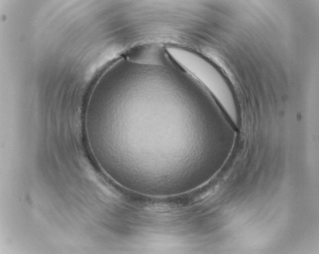 X0000088630677200706151918