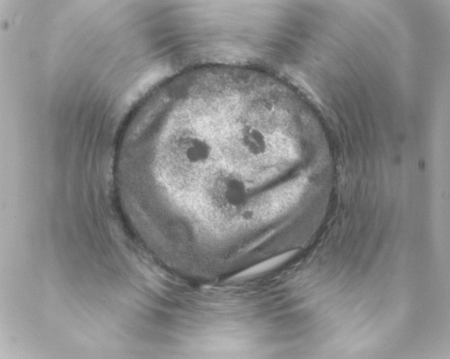 X0000088630679200706151918