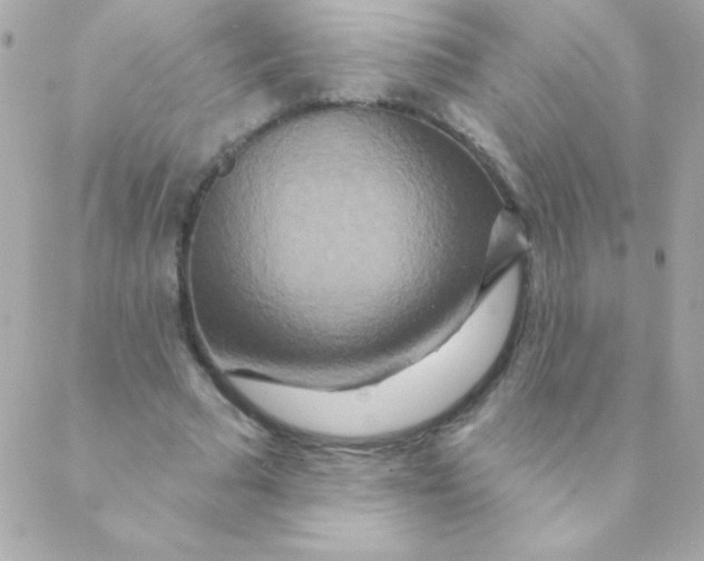 X0000088630681200706151918
