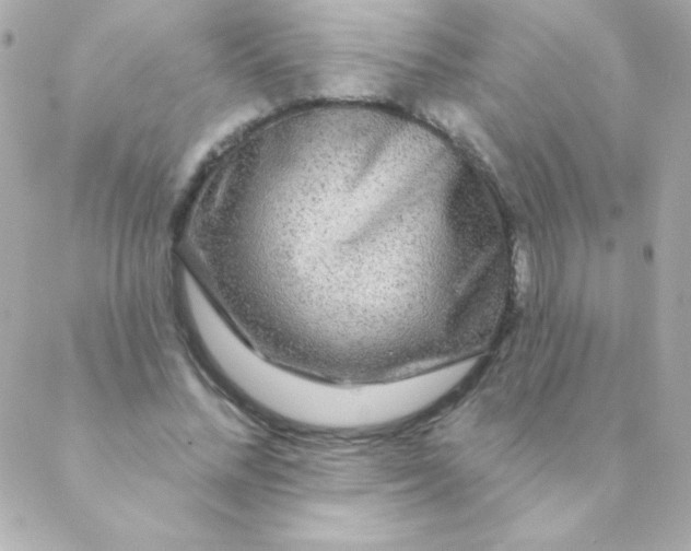 X0000088630684200706151918