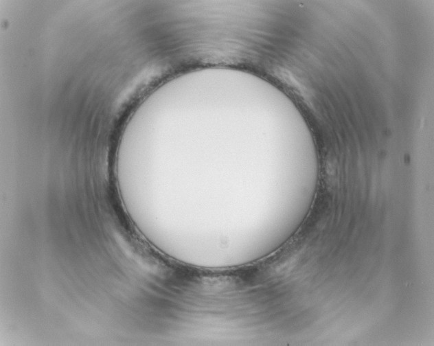 X0000088630686200706151918