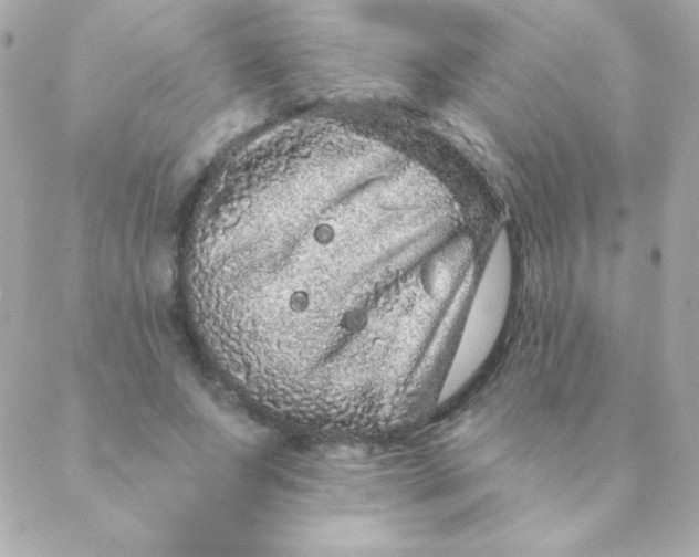 X0000088630687200706151918