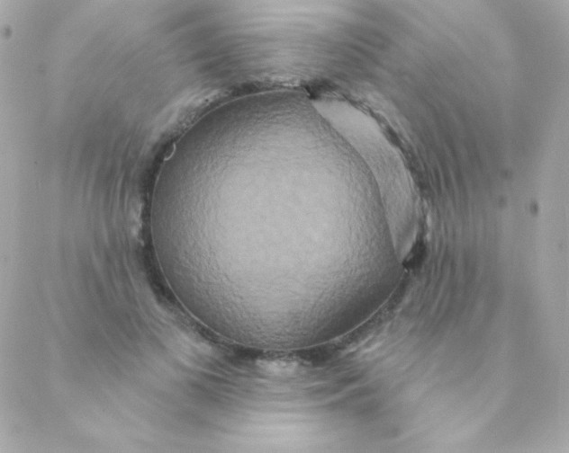 X0000088630693200706151917