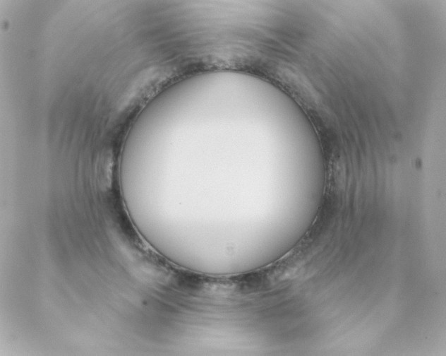 X0000088630694200706151917