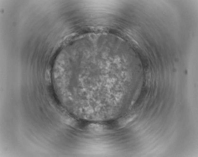 X0000088630699200706151917