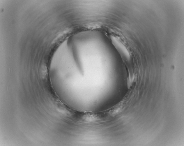 X0000088630704200706151917