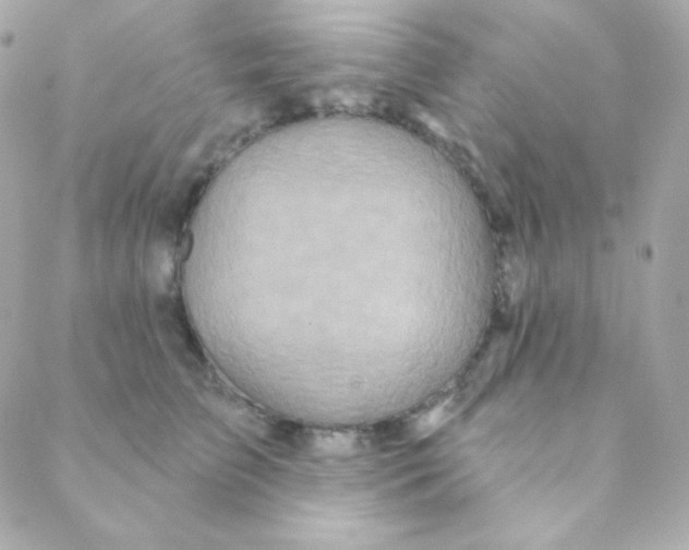 X0000088630709200706151917