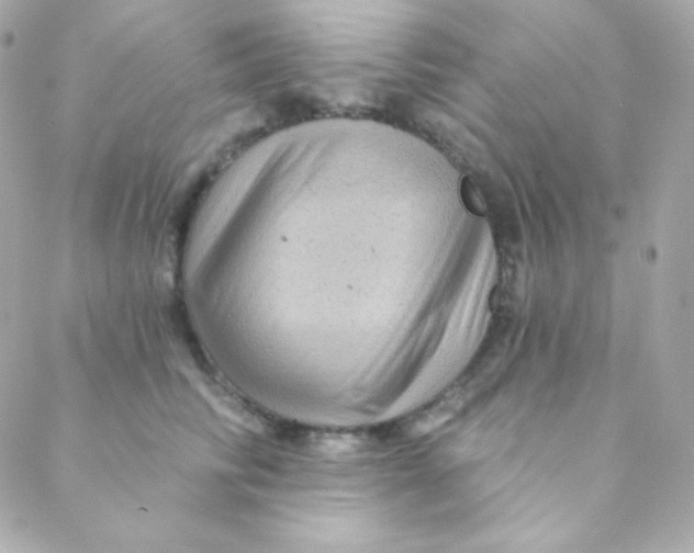 X0000088630710200706151917