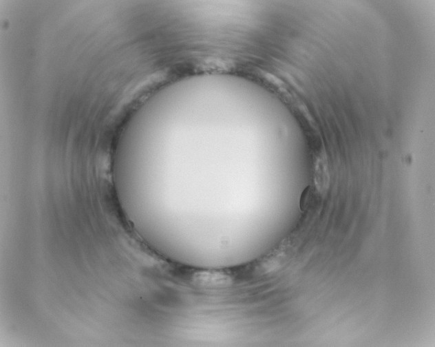 X0000088630714200706151917