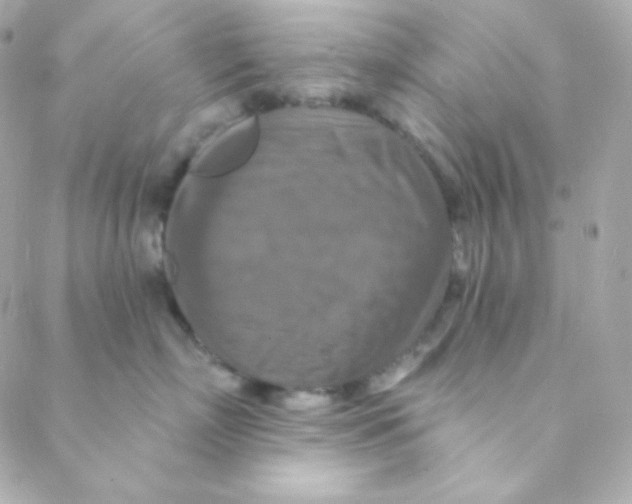 X0000088630718200706151917