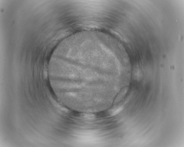 X0000088630719200706151917