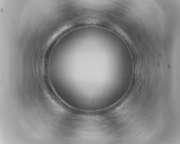 X0000088630722200706151916