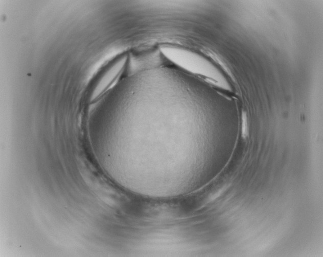 X0000088630723200706151916