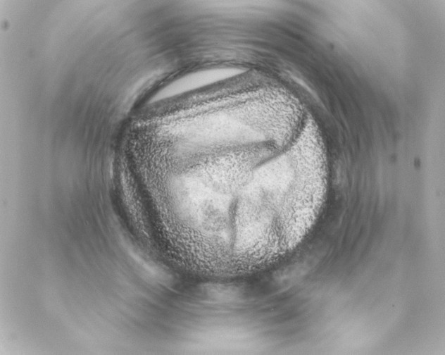 X0000088630733200706151916
