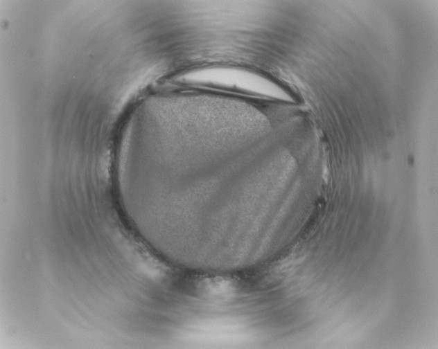 X0000088630735200706151916