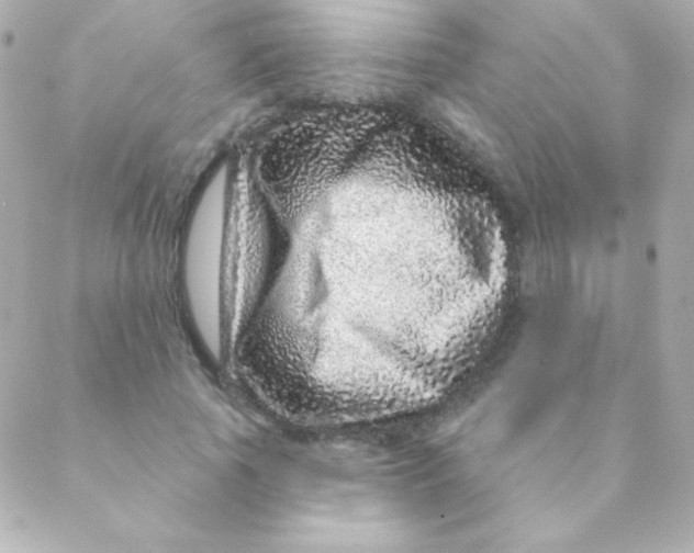 X0000088630737200706151917