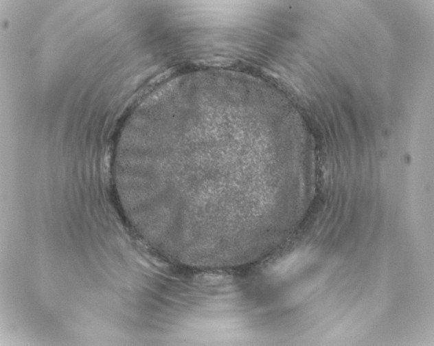 X0000088630745200706151917