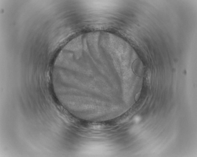 X0000088630746200706151917