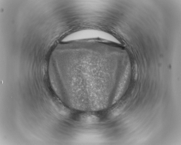 X0000088630747200706151917