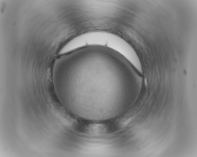 X0000088630748200706151917