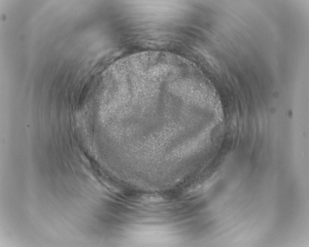 X0000088630749200706151917
