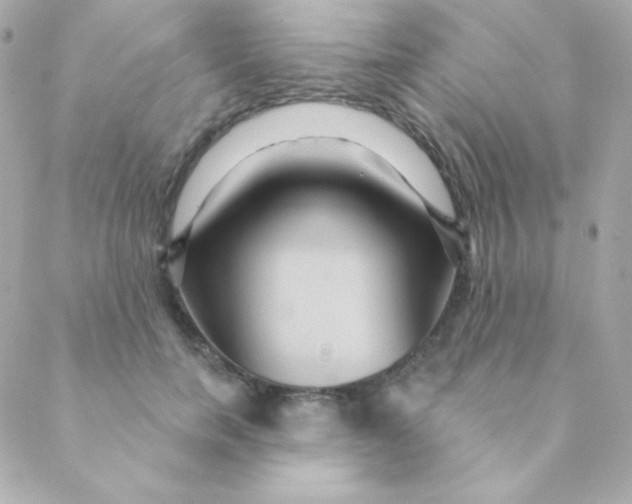 X0000088630750200706151917