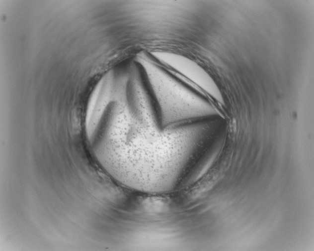 X0000088630751200706151917