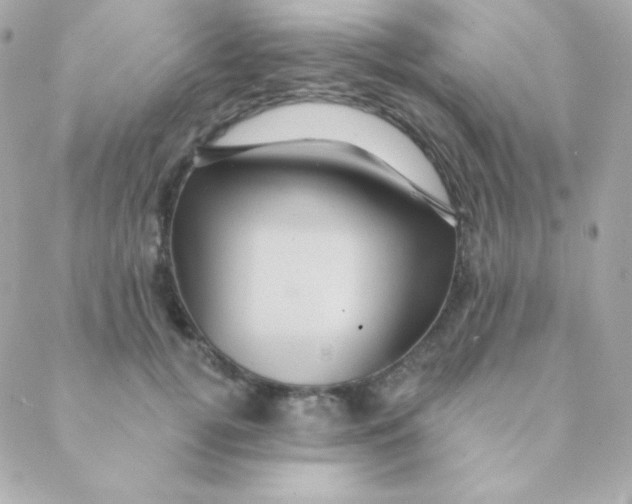 X0000088630752200706151917