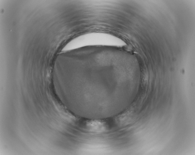 X0000088630759200706151917