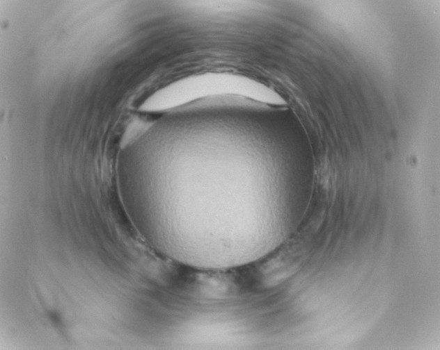 X0000088630763200706151917