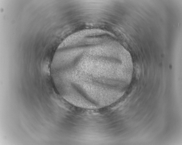 X0000088630770200706151916