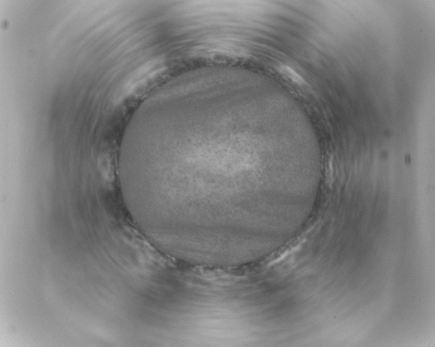 X0000088630774200706151916