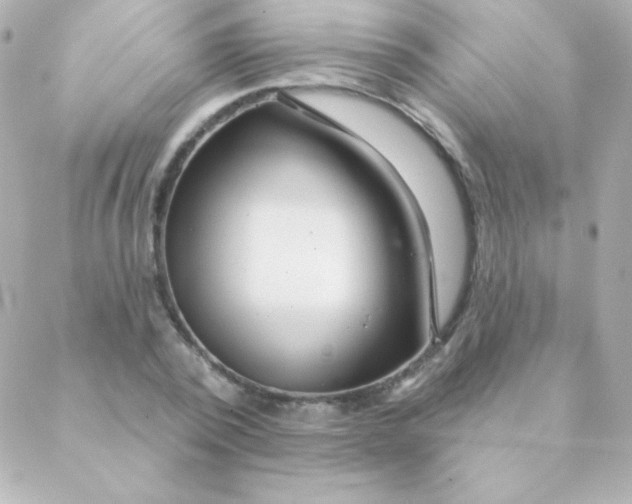 X0000088630784200706151916
