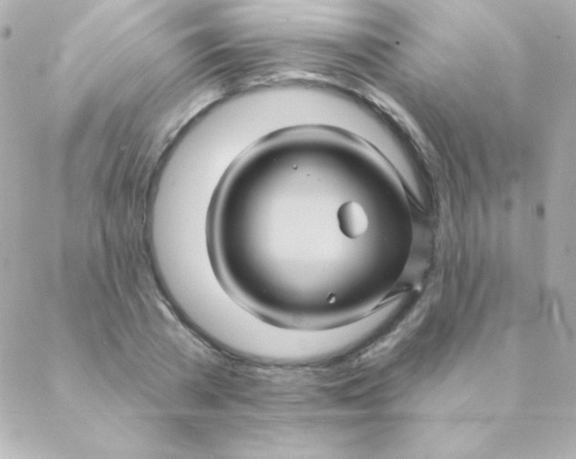 X0000088630785200706151916