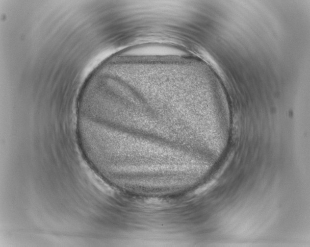 X0000088630787200706151916
