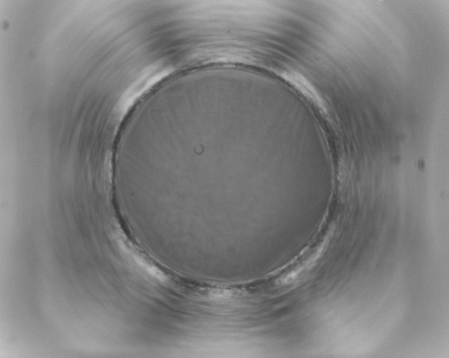 X0000088630790200706151916