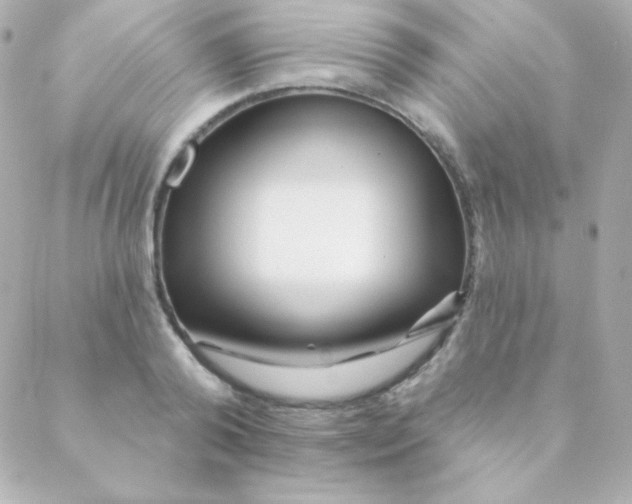 X0000088630792200706151916