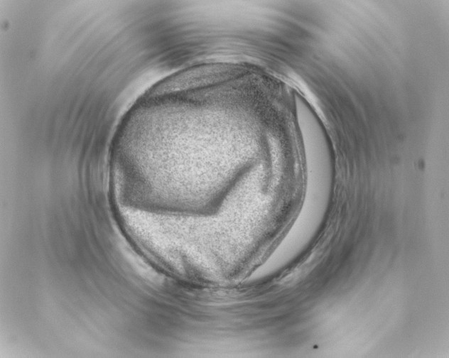 X0000088630795200706151916