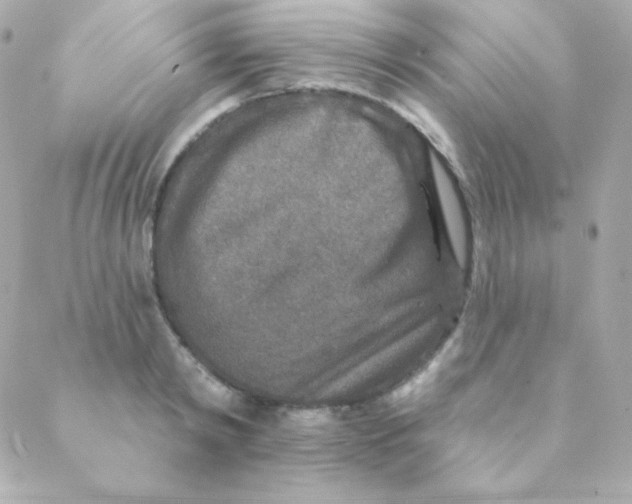 X0000088630798200706151916