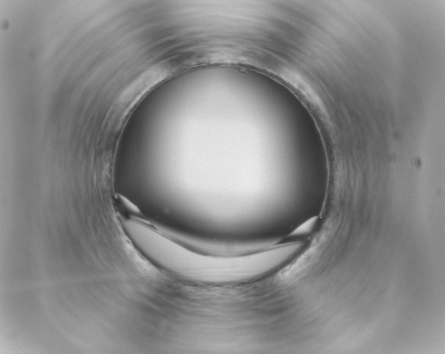 X0000088630801200706151916