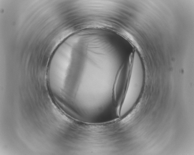 X0000088630802200706151916