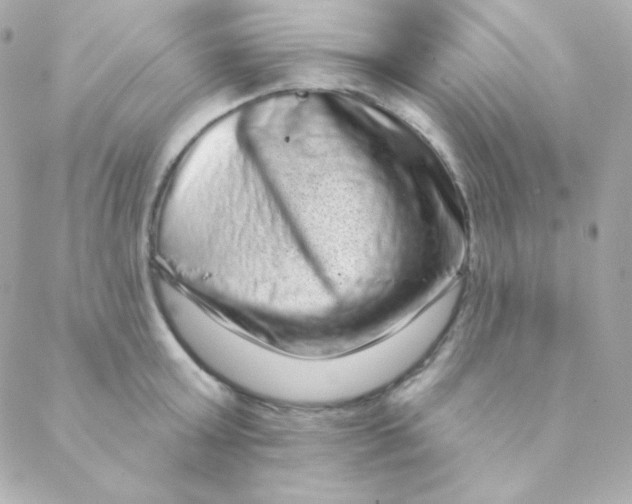 X0000088630803200706151916